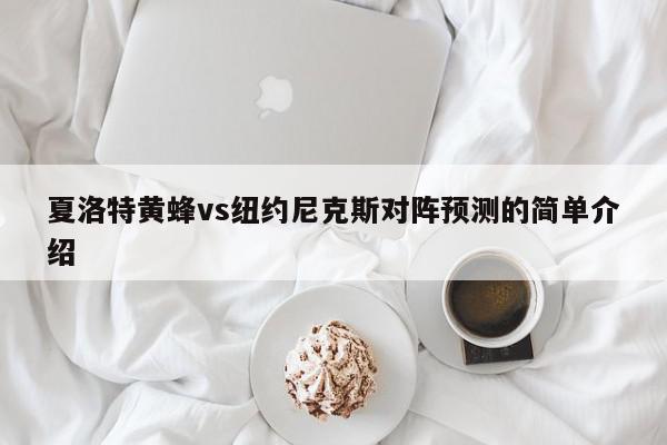 夏洛特黄蜂vs纽约尼克斯对阵预测的简单介绍